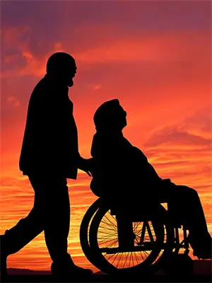 仙橘是什么意思