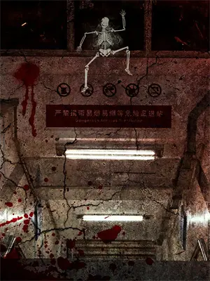 我有一枚命运魔骰百度网盘资源