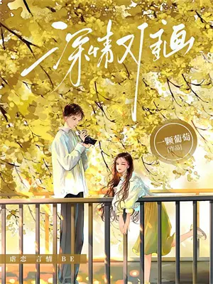 犬夜叉同名小说