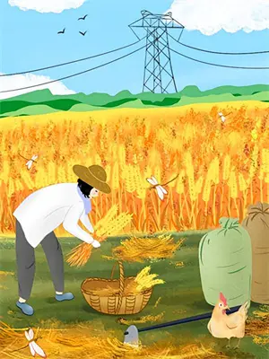 太子追妻记小说在线阅读